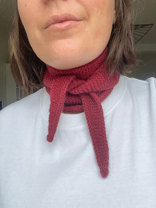 Mini scarf 🧣
