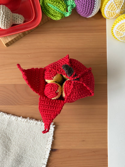 La pomme et ses quartiers 🍎